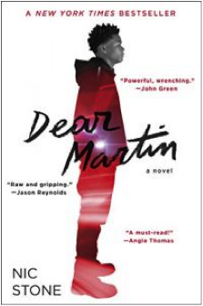 dear martin book