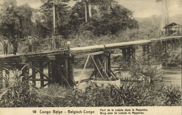 mayumbe