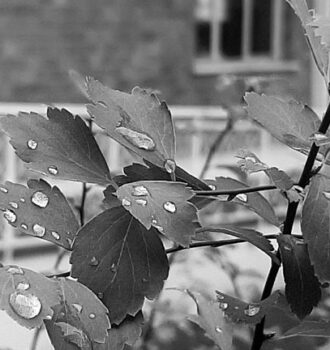 foto di ©marinaandruccioli
