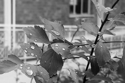 foto di ©marinaandruccioli