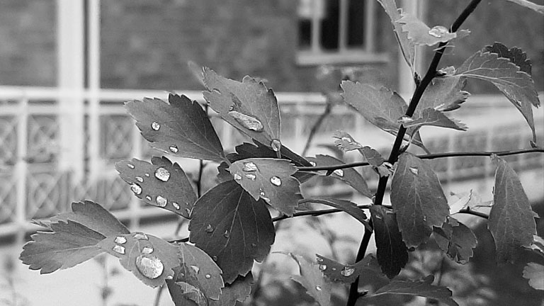 foto di ©marinaandruccioli
