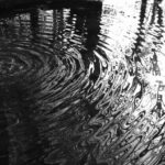 "pioggia" di ©marinaandruccioli