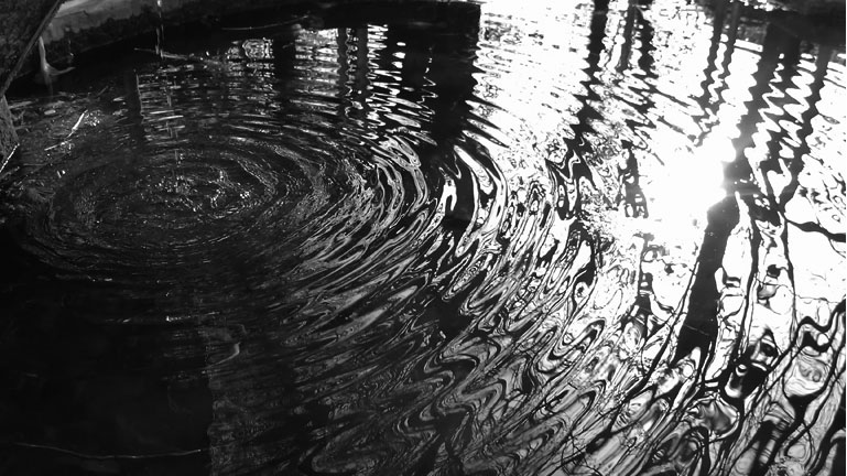 "pioggia" di ©marinaandruccioli